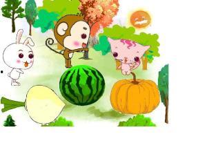 吃瓜娱乐小鲤鱼,揭秘娱乐圈幕后故事